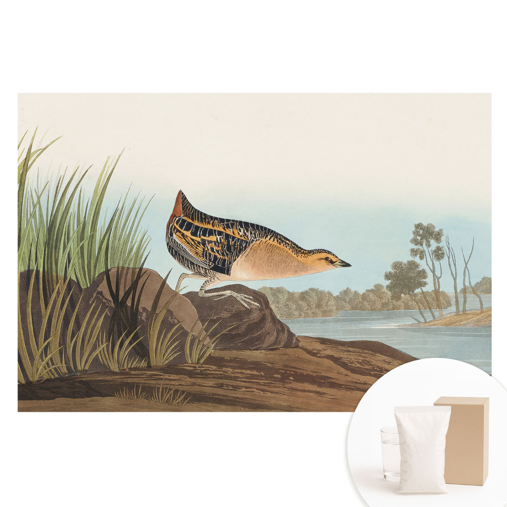 Papier peint intissé Un oiseau au-dessus de l'eau dans un style classique