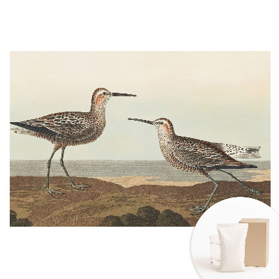 Papier peint photographique sur tissu non tissé Deux oiseaux sur le rivage