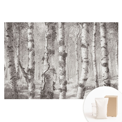 Papier peint panoramique intissé Forêt de bouleaux classique