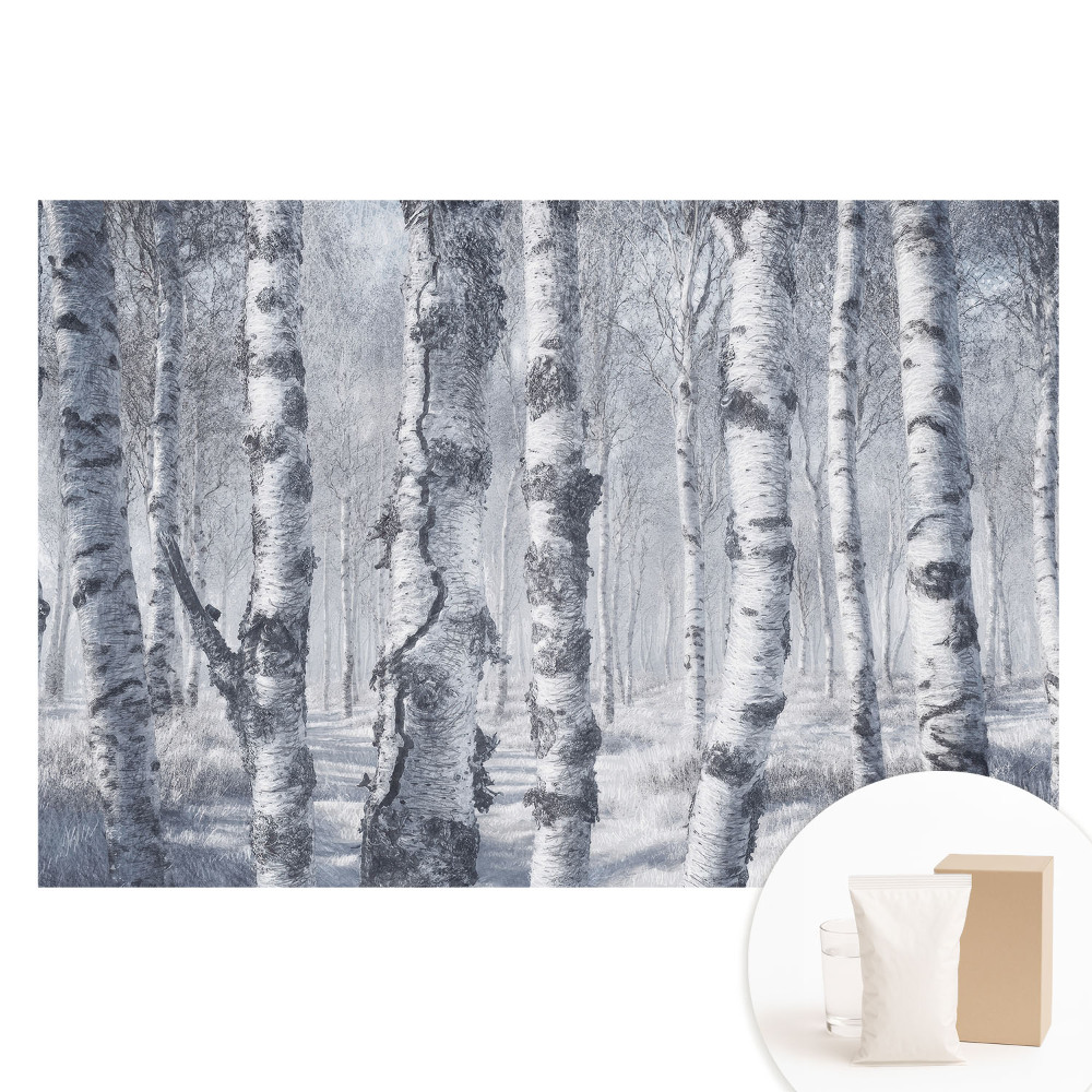 Papier peint photo imprimé sur tissu non tissé forêt de bouleaux en hiver