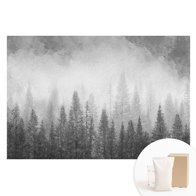 Papier peint photo grand format pour le mur Forêt mystérieuse dans le brouillard