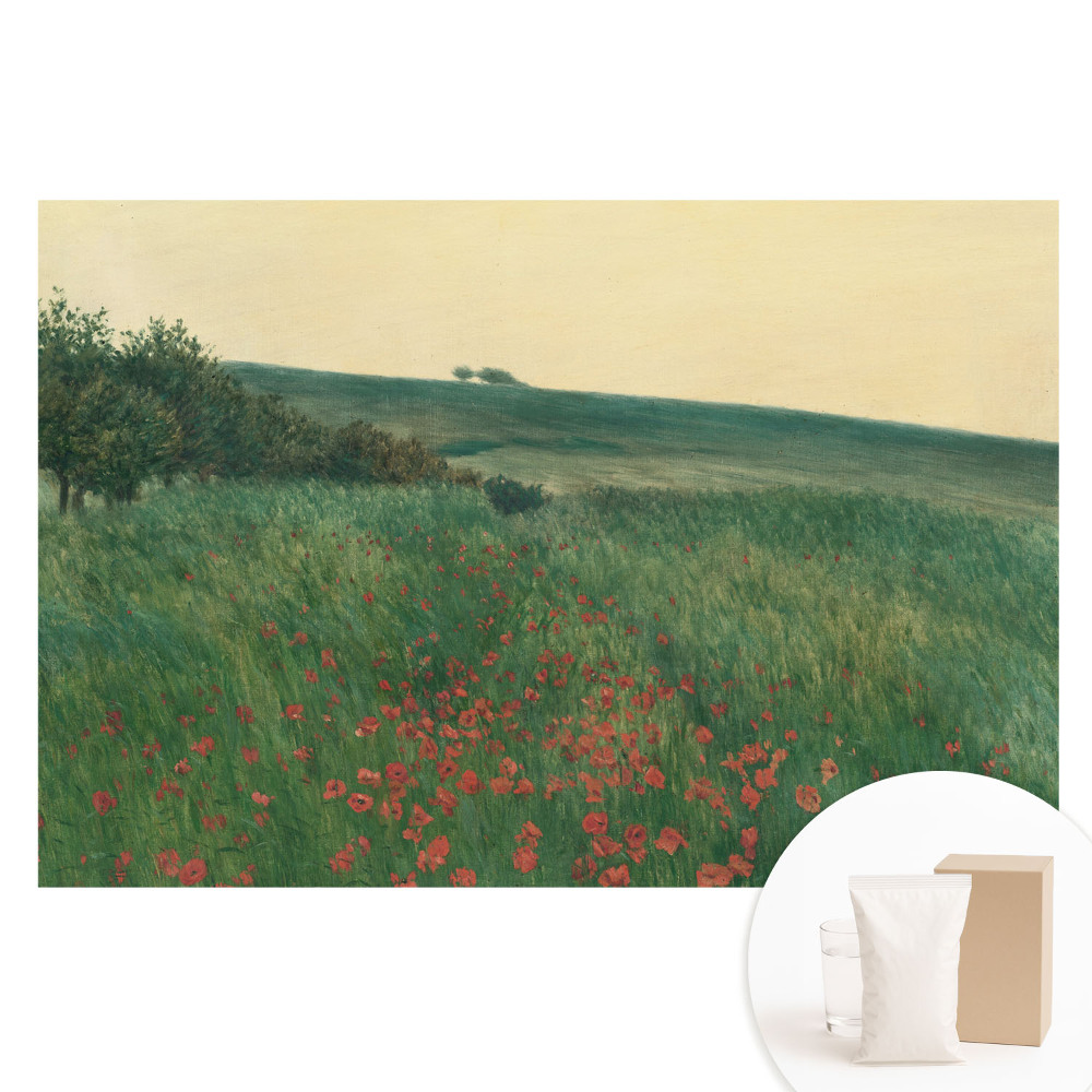Papier peint photo grand format pour le mur Une prairie rustique pleine de coquelicots et d'arbres