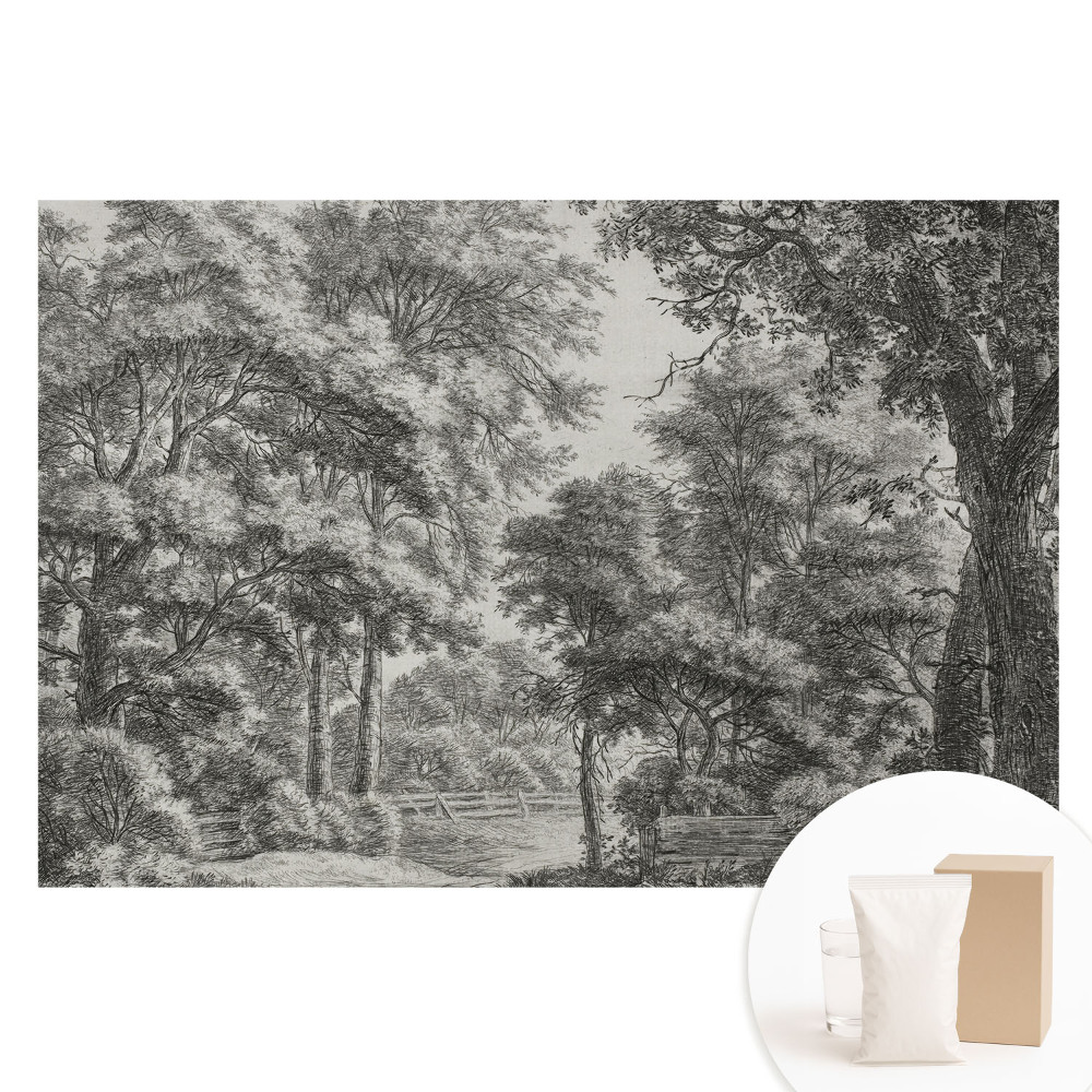 Papier peint photo panoramique Paysage forestier harmonieux et paisible