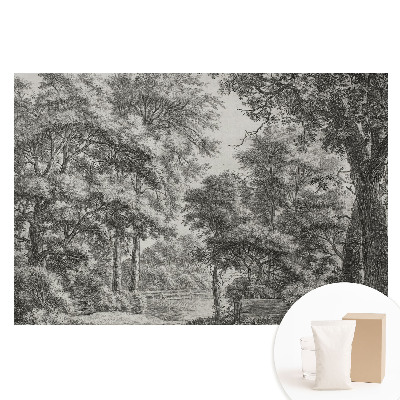 Papier peint photo grand format pour le mur Paysage forestier classique d'harmonie et de paix