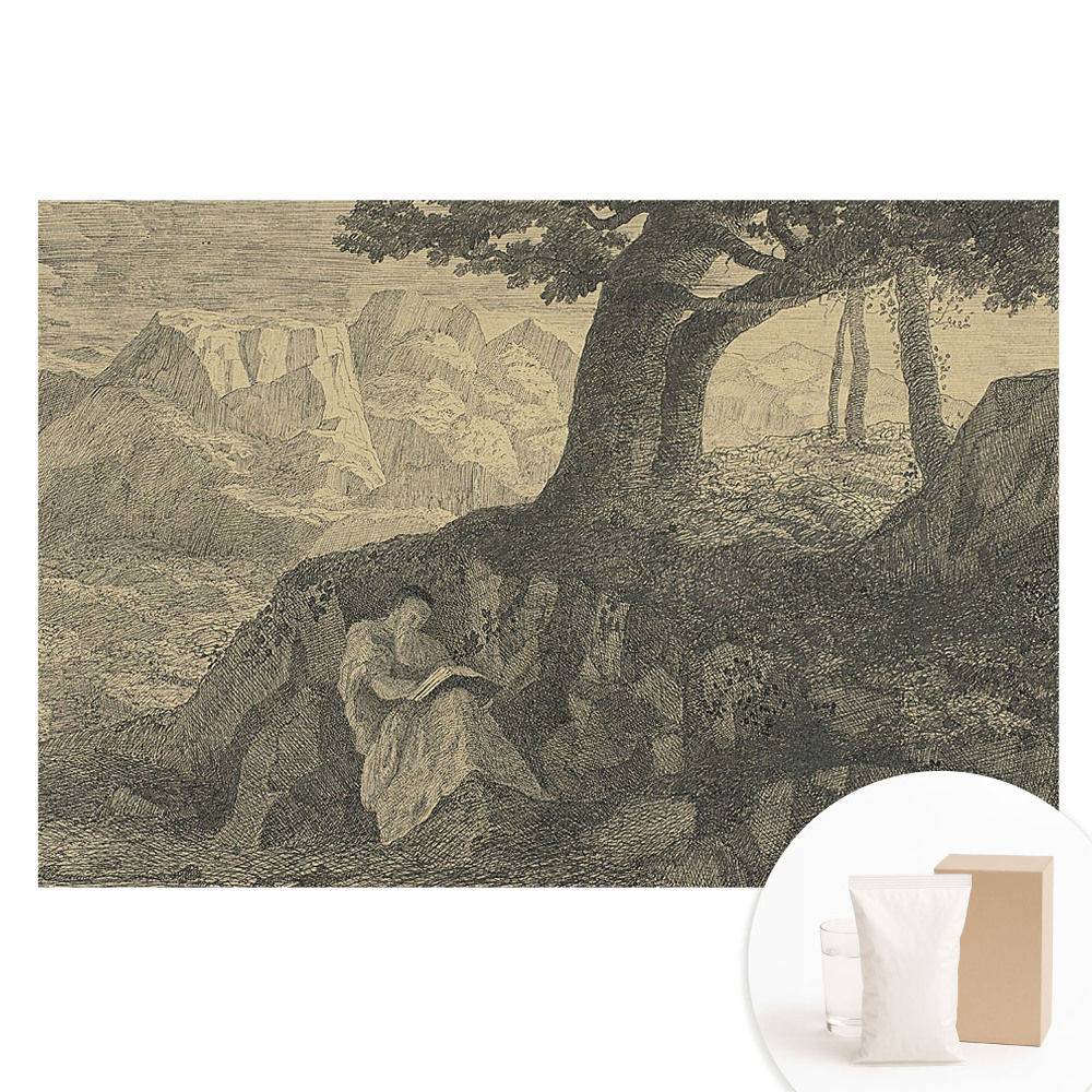 Papier peint intissé Lecture d'un paysage atmosphérique sous un arbre