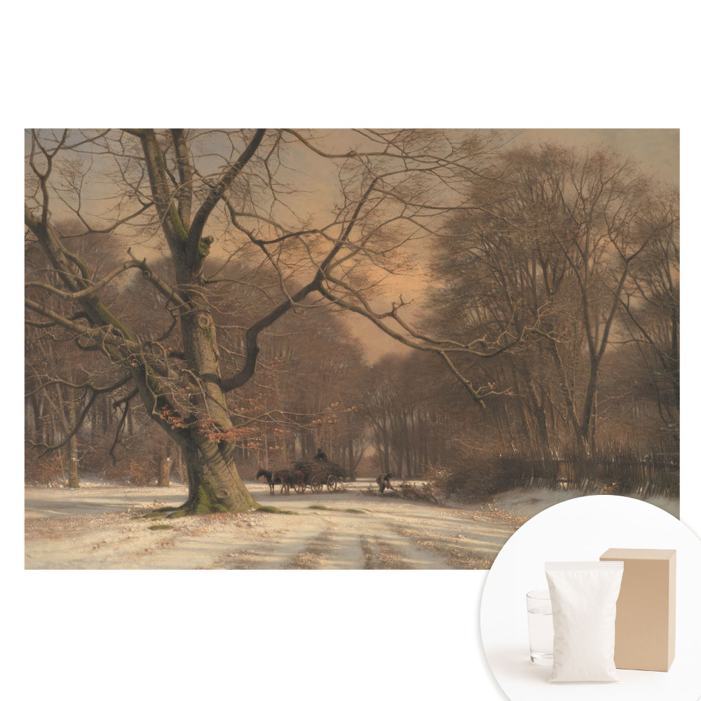 Papier peint photo sur tissu non tissé paix de la nature en forêt hivernale