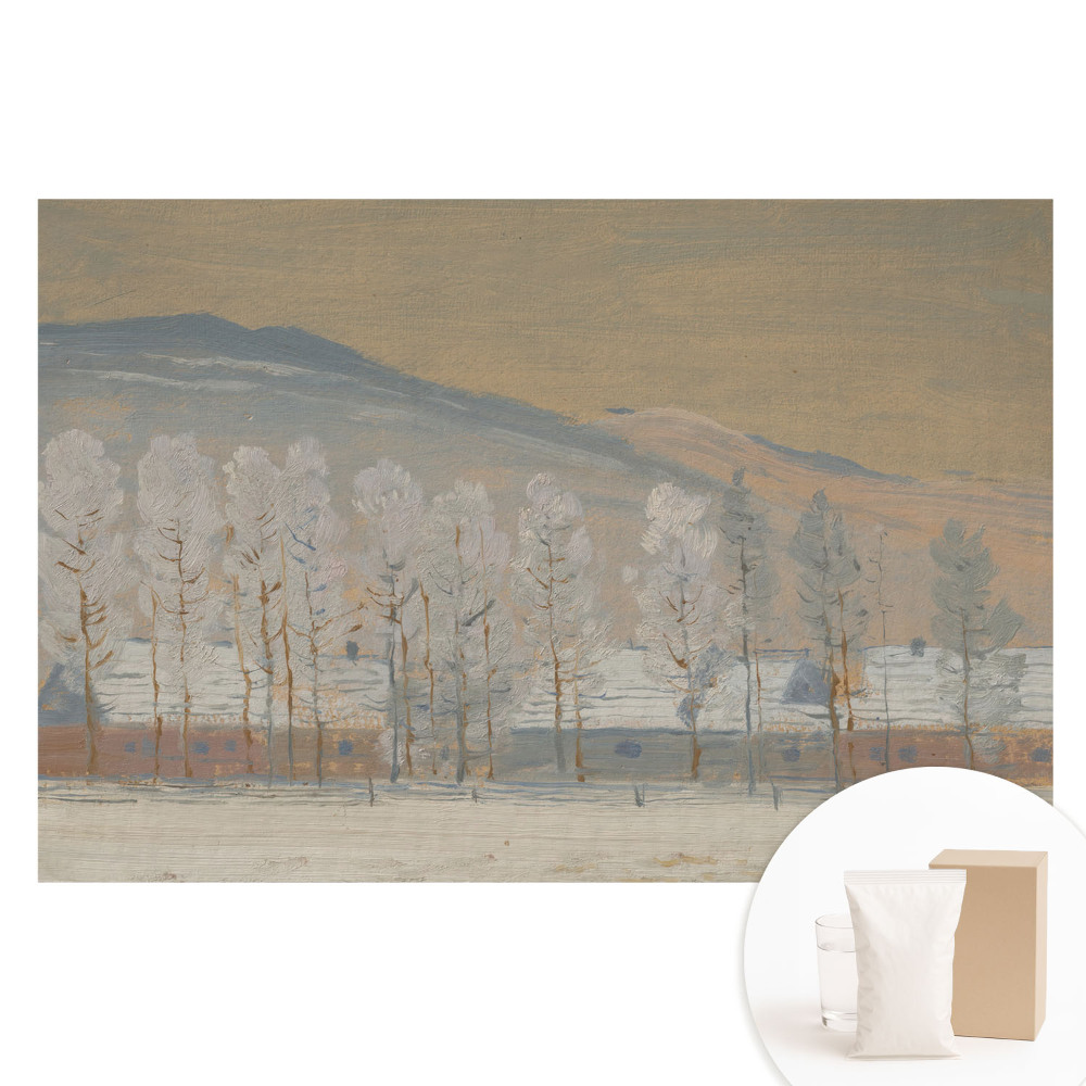 Papier peint intissé Paysage de montagne hivernal avec des chalets pittoresques