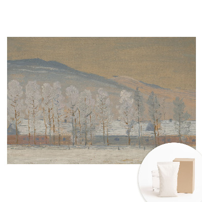 Papier peint intissé Paysage de montagne hivernal avec des chalets pittoresques