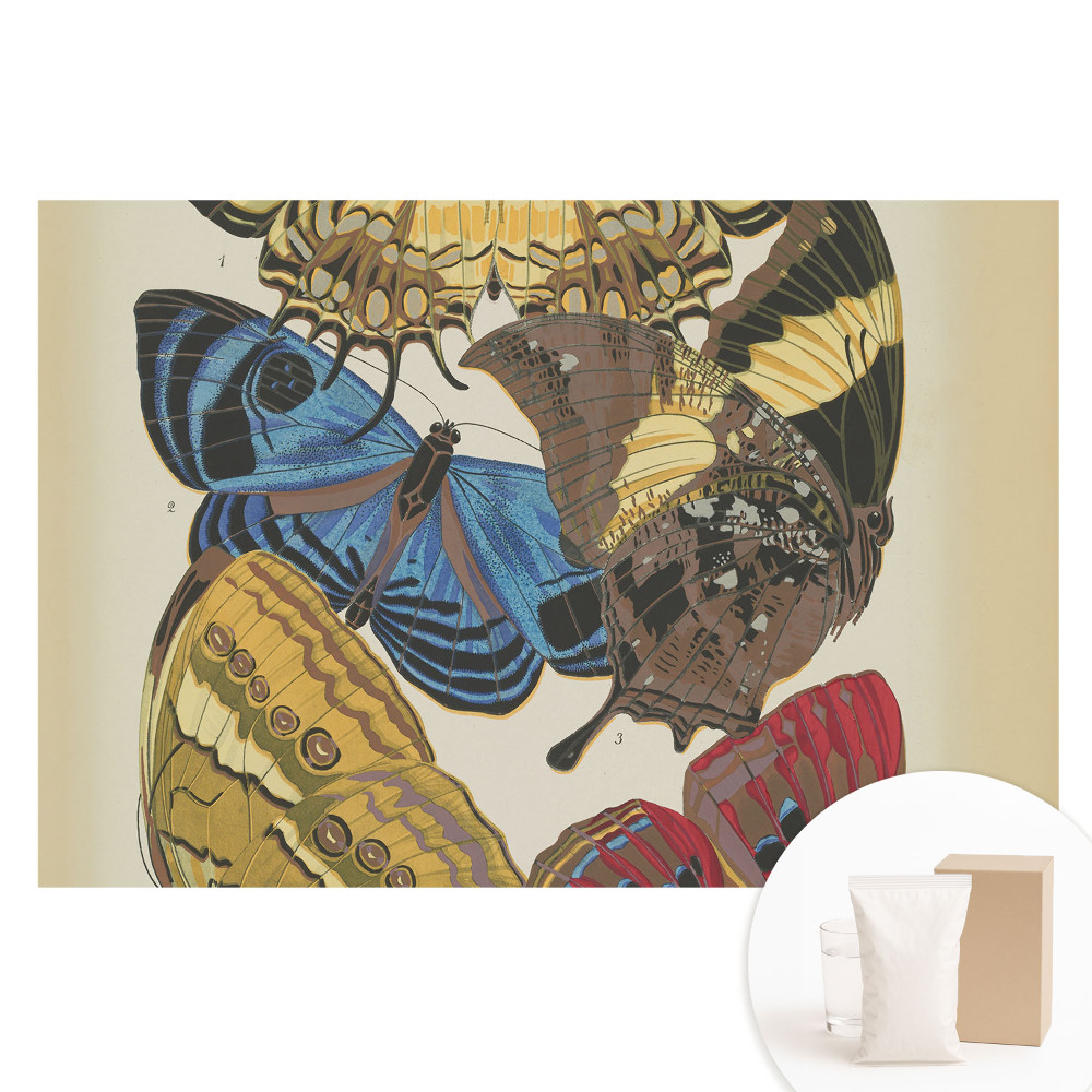 Papier peint photo grand format pour le mur Des papillons colorés dans une composition élégante