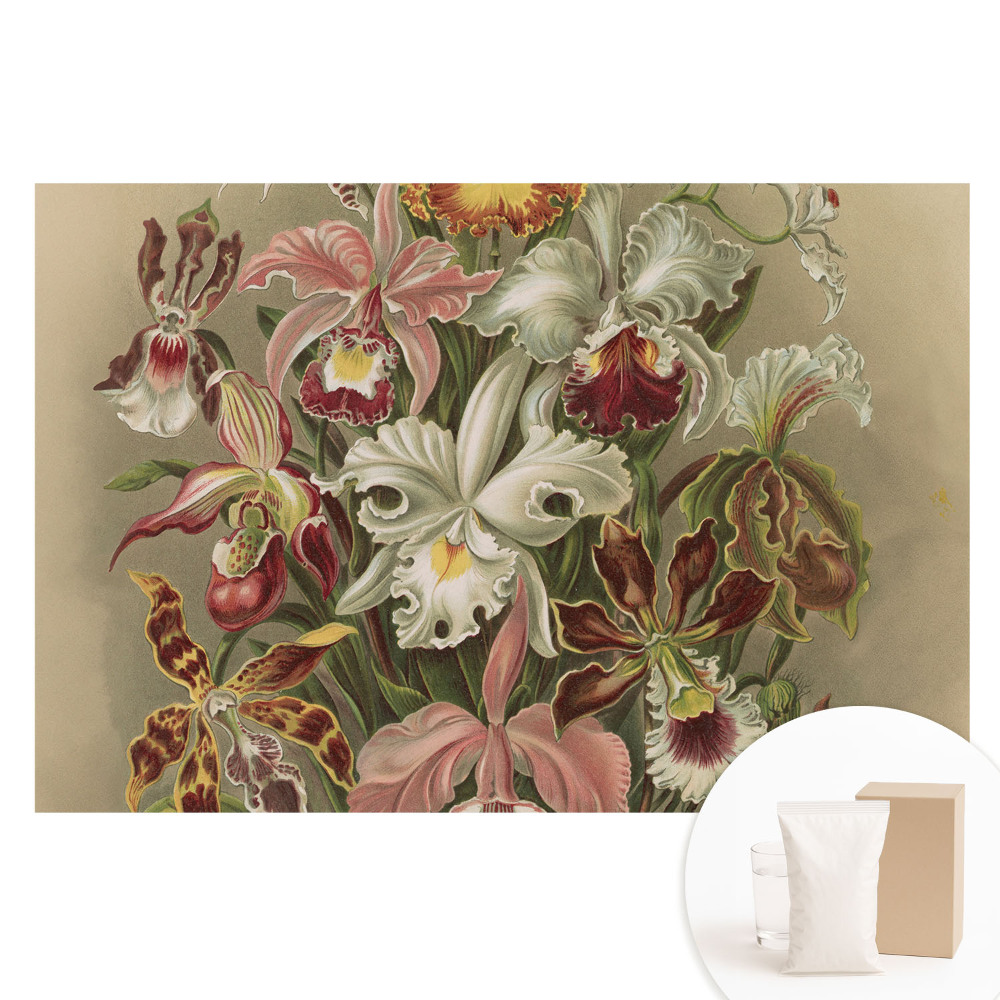 Papier peint photo intissé Fleurs exotiques harmonie de la nature