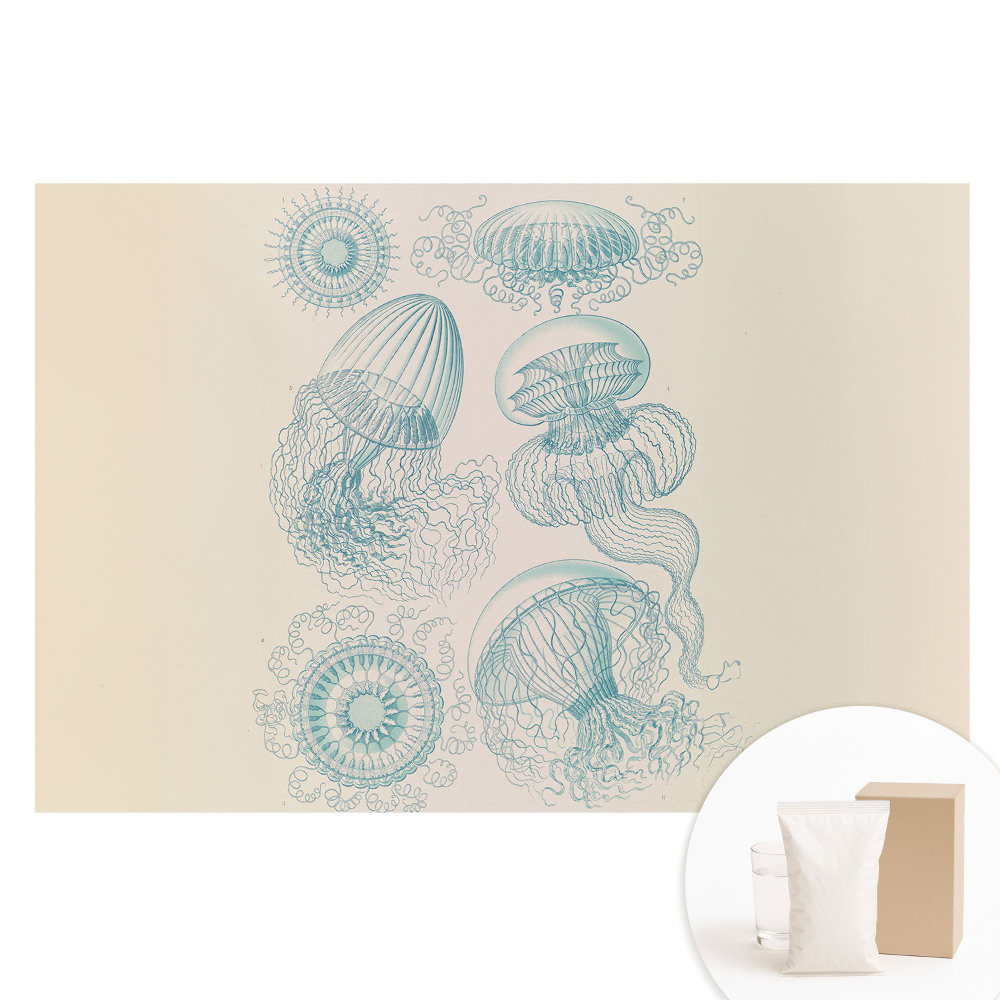 Papier peint intissé photographique avec motif de méduses marines