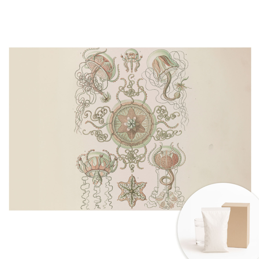 Papier peint photo imprimé sur tissu non tissé Motif symétrique délicat de méduse