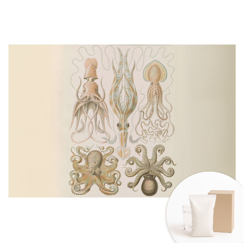 Papier peint photographique sur tissu non tissé Céphalopodes marins : harmonie des détails
