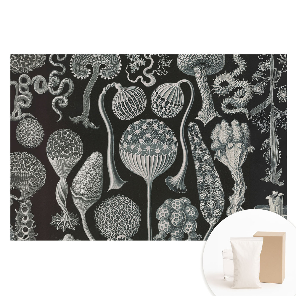 Papier peint intissé Des formes organiques fantastiques en noir et blanc