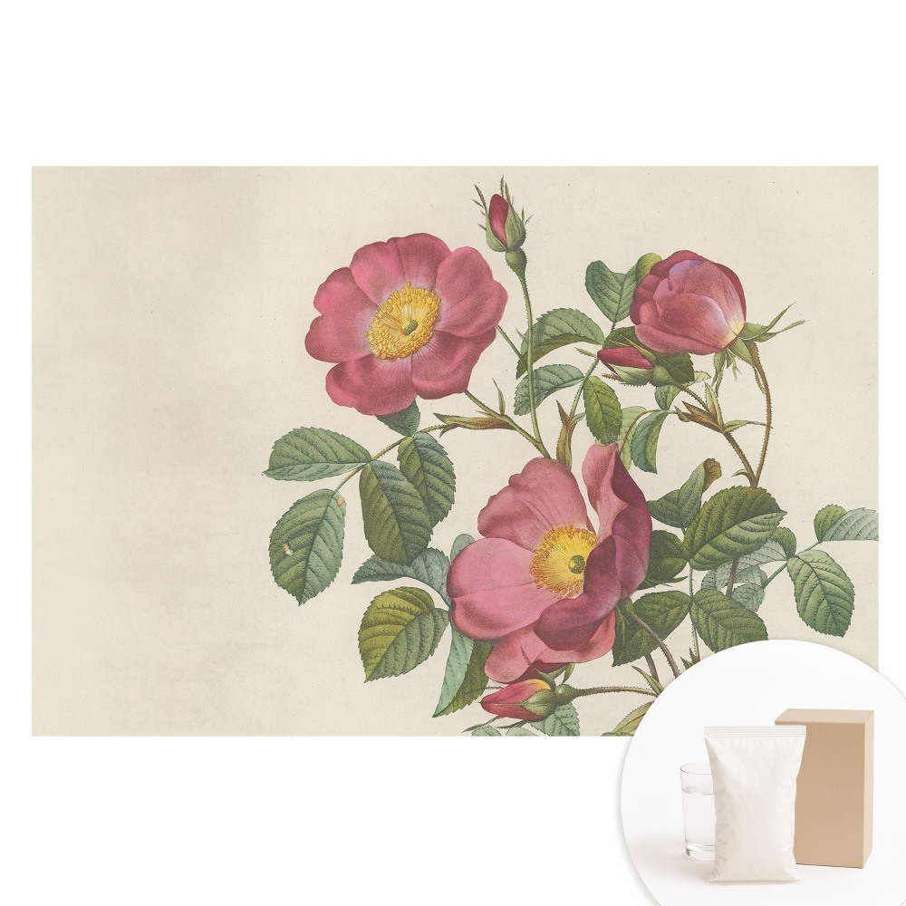 Papier peint photo grand format pour le mur Des roses sauvages dans une composition classique