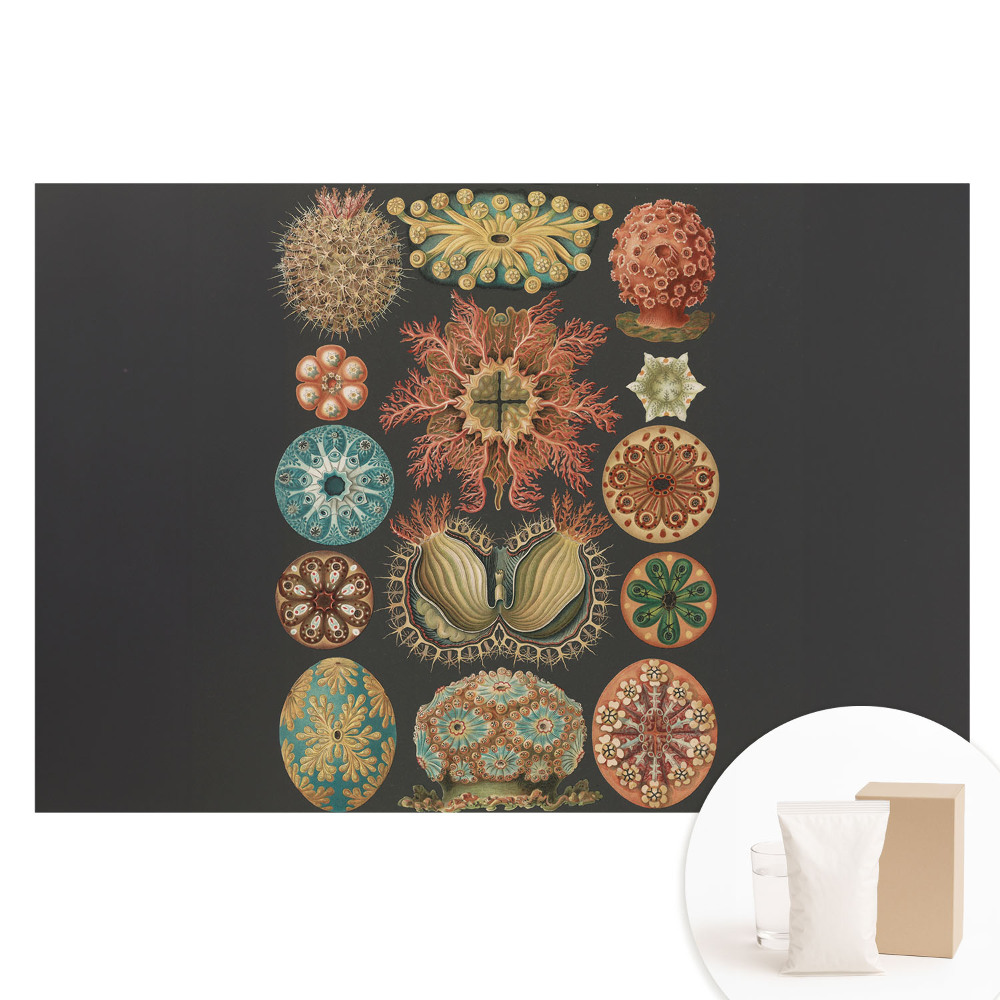 Papier peint intissé Formes marines abstraites dans un style classique