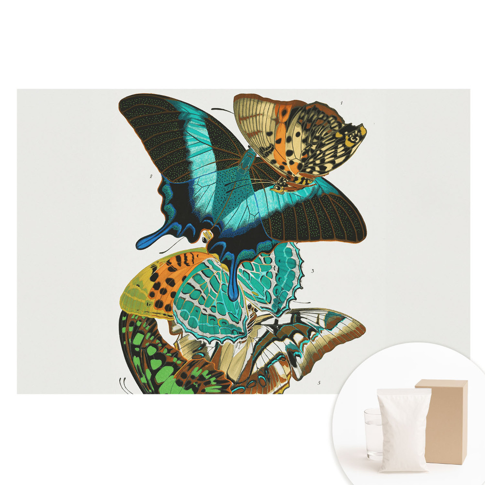 Papier peint photo imprimé sur tissu non tissé papillons colorés composition classique harmonieuse