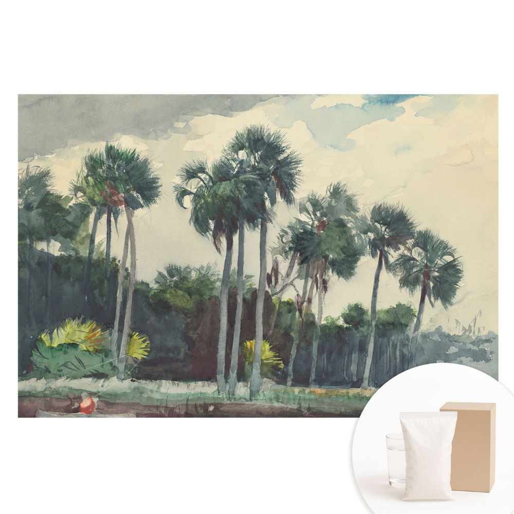 Papier peint photo grand format pour le mur Palmiers tropicaux dans un style aquarelle