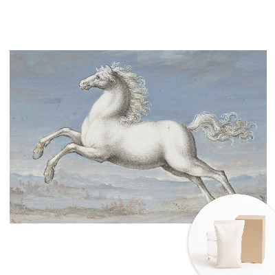 Papier peint photographique intissé Un cheval blanc effectuant un saut dynamique