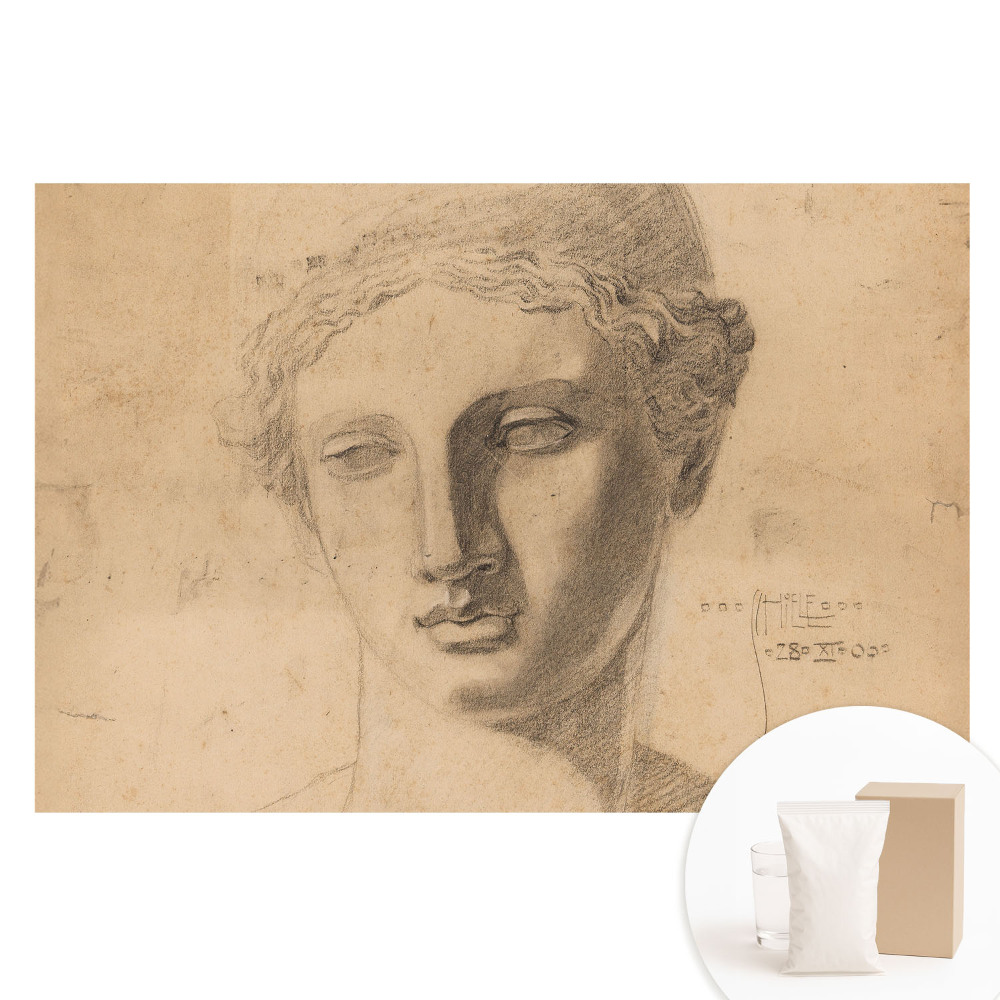 Papier peint intissé graphique avec motif de visage féminin