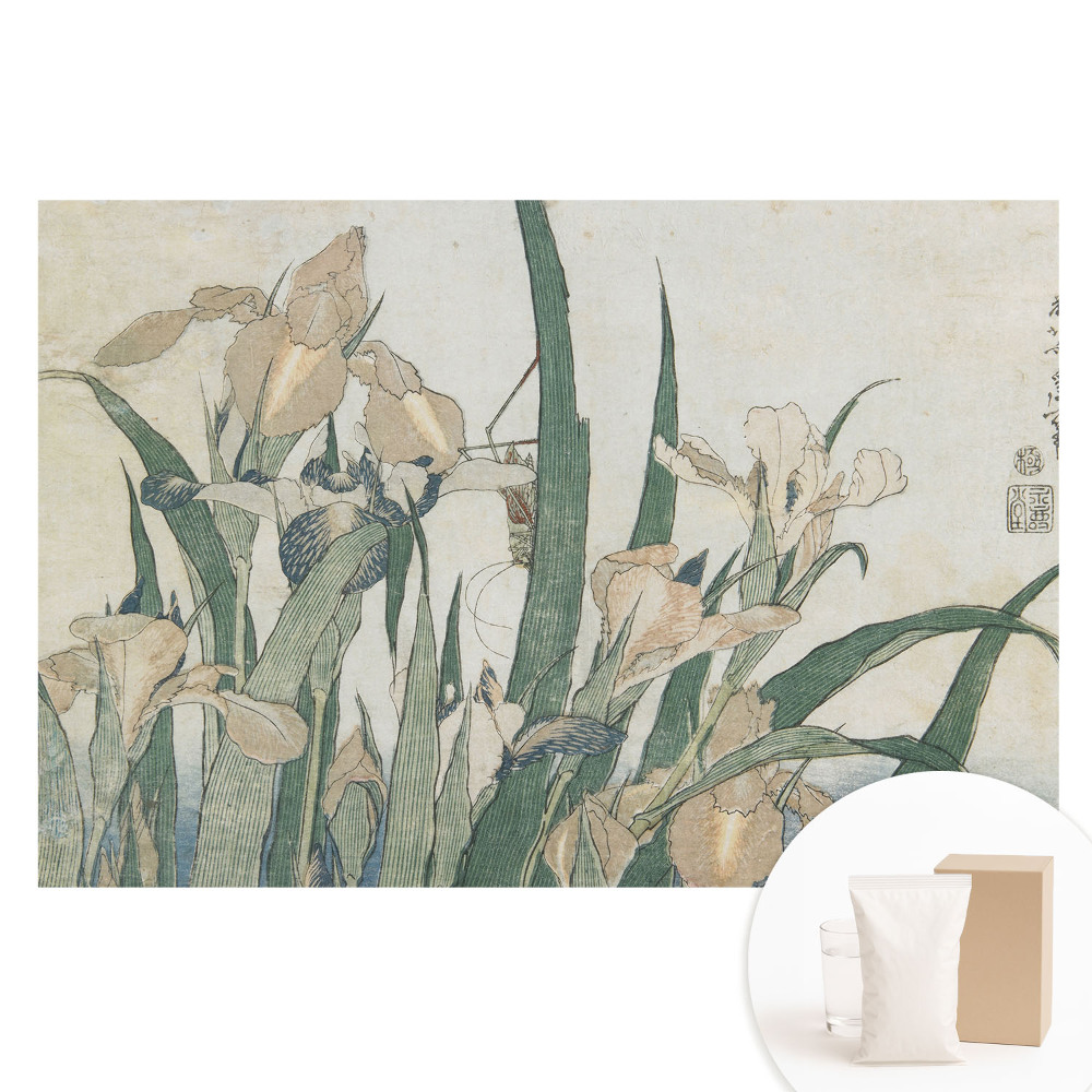 Papier peint intissé Les iris sont un motif classique d'harmonie et d'élégance.