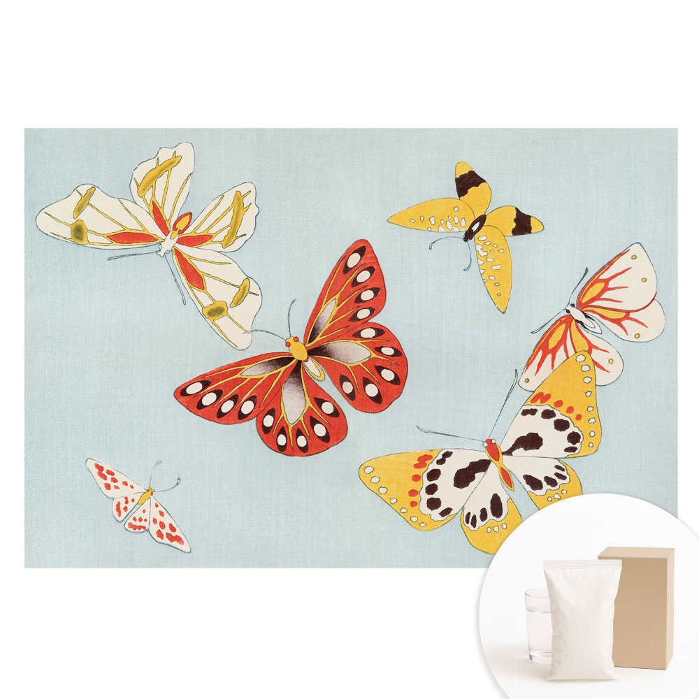 Papier peint photo imprimé sur tissu non tissé Papillons colorés sur fond clair