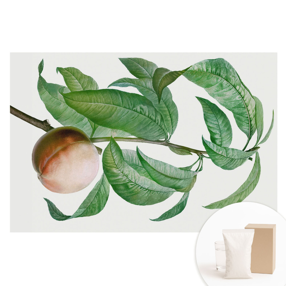 Papier peint photographique sur tissu non tissé Pêche et feuilles dans un style classique