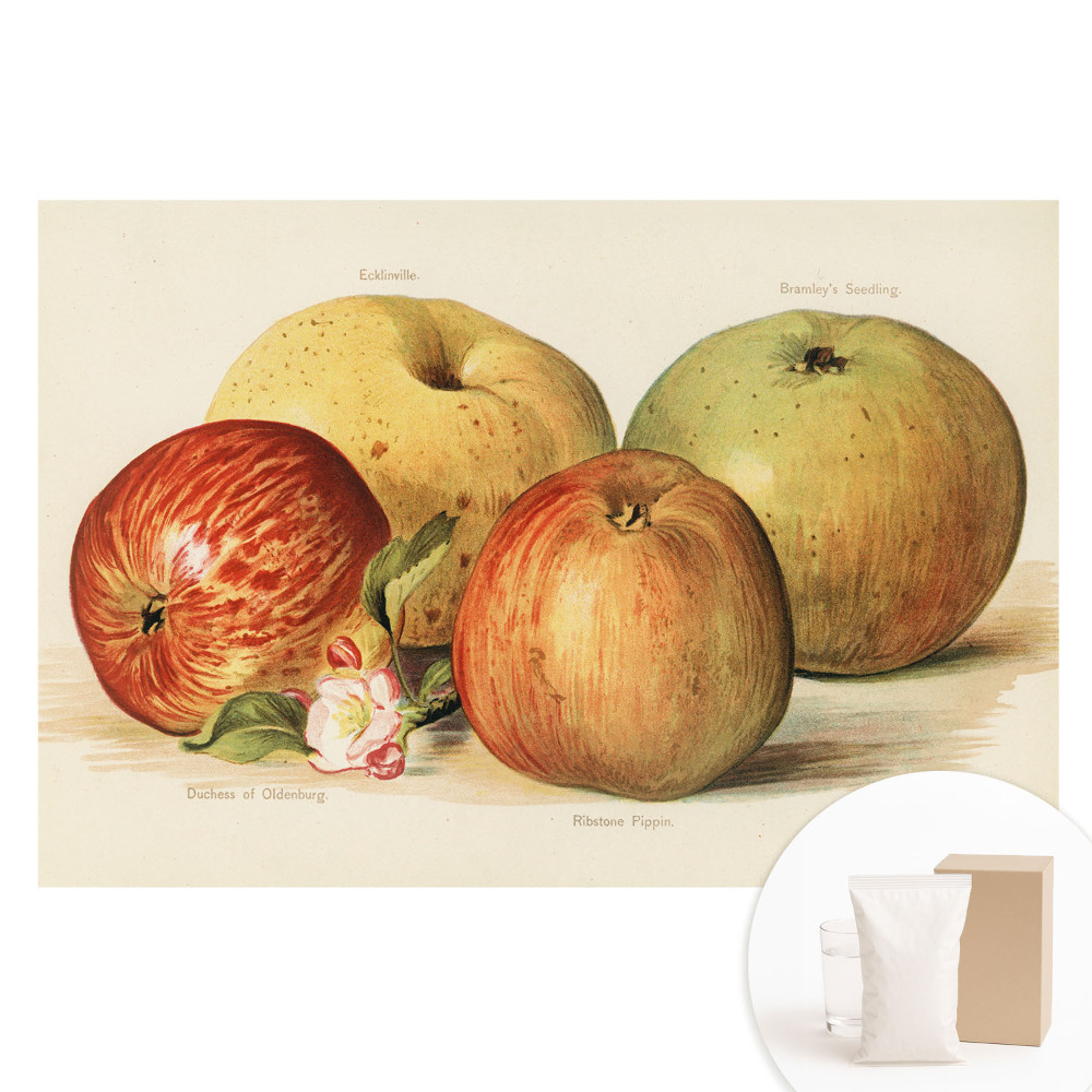 Papier peint intissé Quatre pommes, style classique des fleurs de pommier