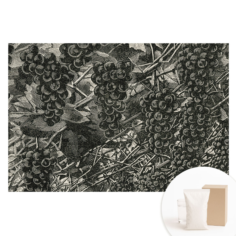 Papier peint intissé imprimé Motif classique de raisin, symbole d'élégance