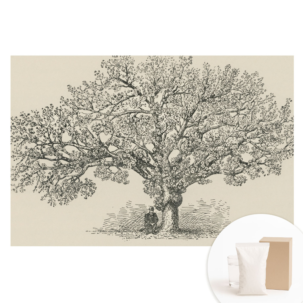 Papier peint photo sur intissé Arbre stylisé nature et harmonie classique