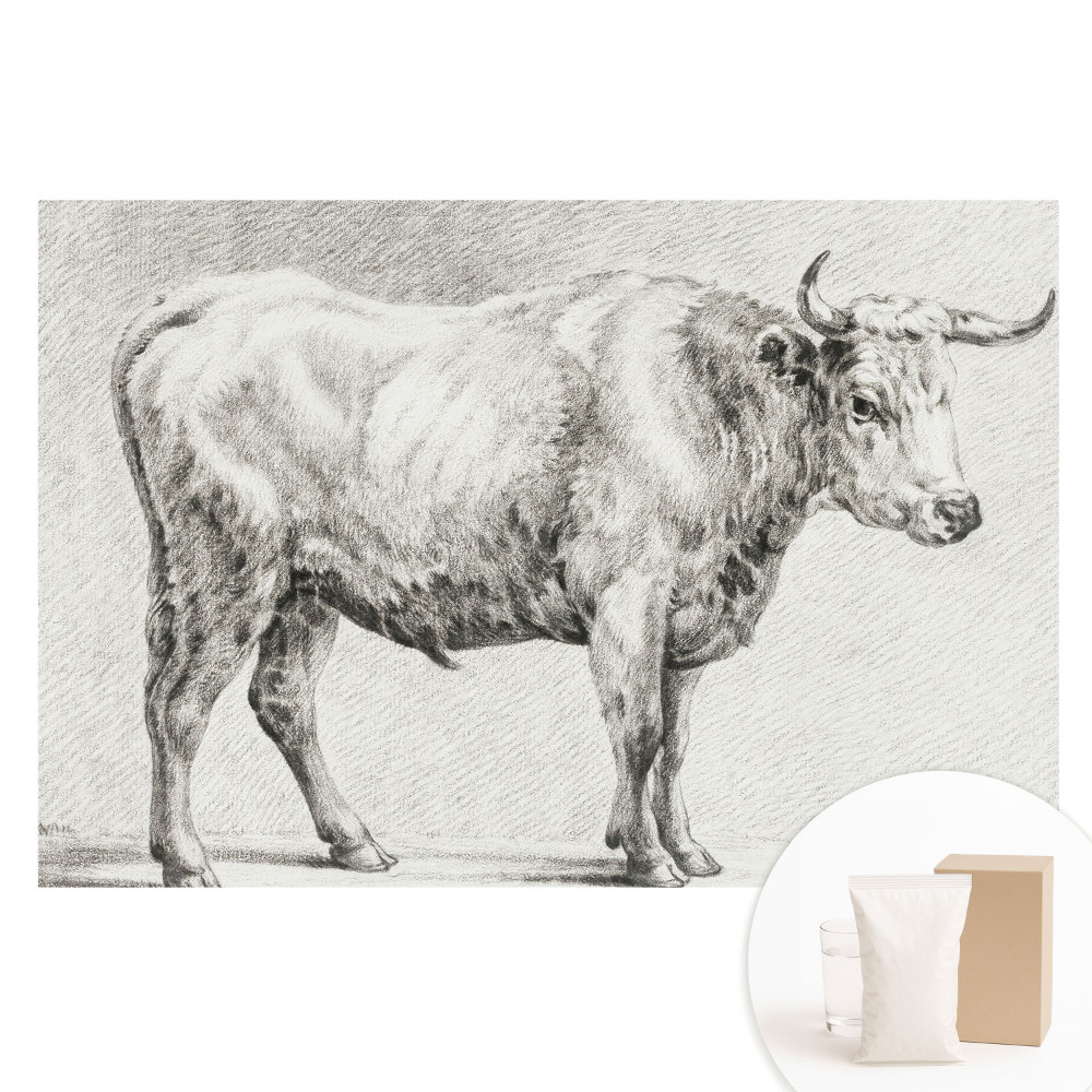 Papier peint photographique intissé graphismes animaliers classiques