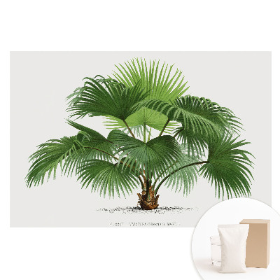 Papier peint intissé imprimé L'élégance classique des palmiers