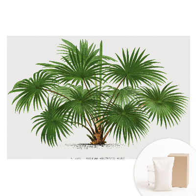 Papier peint intissé Composition symétrique de palmiers verts