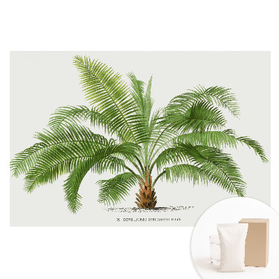 Papier peint photo grand format Illustration de palmier tropical