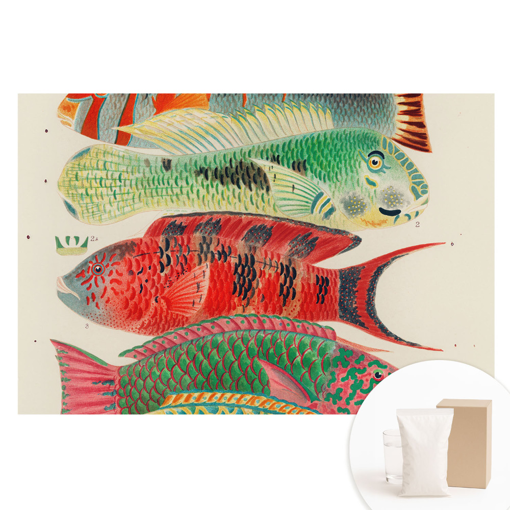 Papier peint panoramique intissé avec illustration de poissons colorés style classique