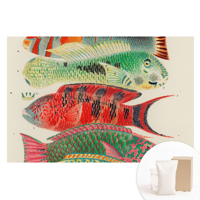 Papier peint photo sur tissu non tissé Poissons colorés illustrés dans un style classique