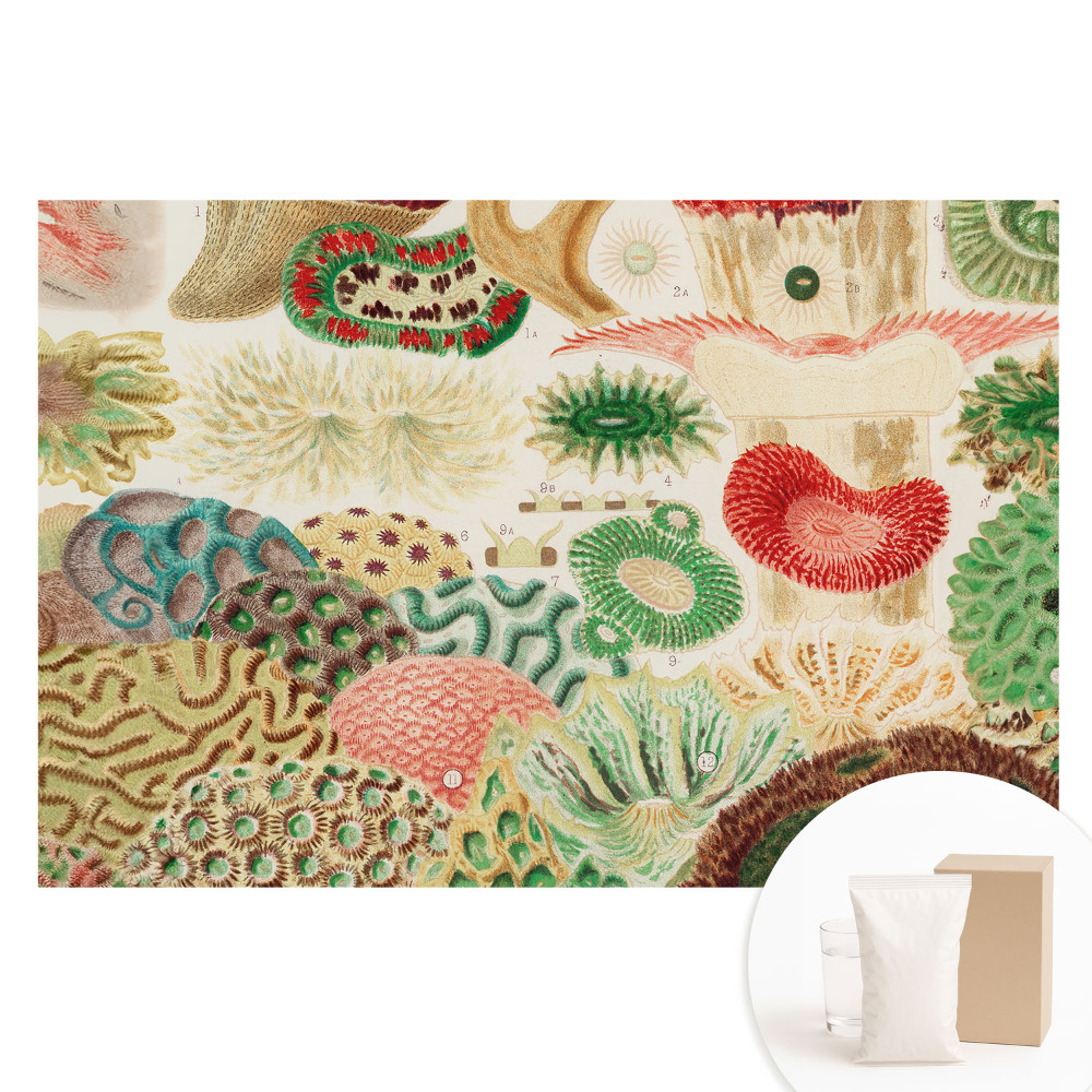 Papier peint intissé à motifs et structures organiques abstraits