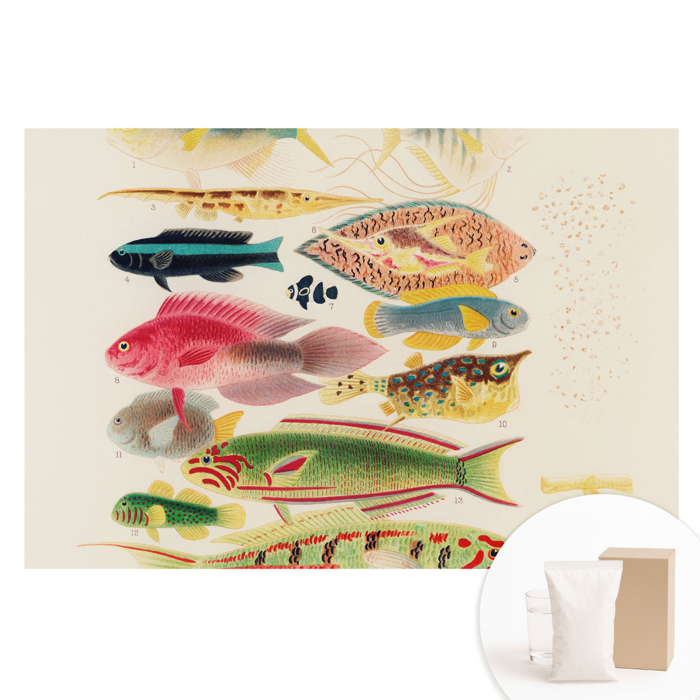 Papier peint photo imprimé sur tissu non tissé Une variété de poissons dans un style classique