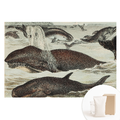 Papier peint panoramique intissé Harmonie des animaux aquatiques