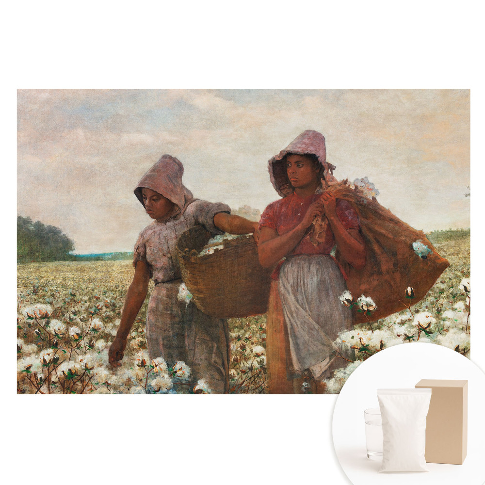 Papier peint intissé photographique champ de coton rustique