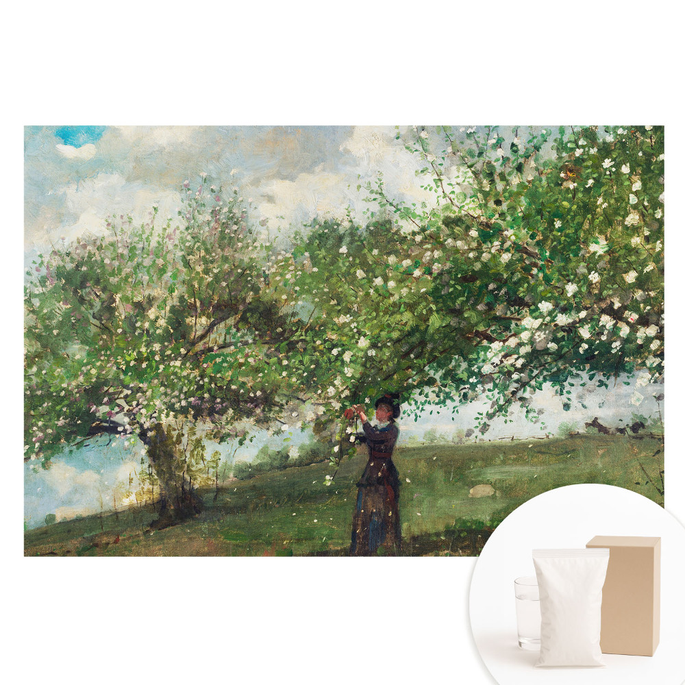 Papier peint intissé arbre fleuri et femme