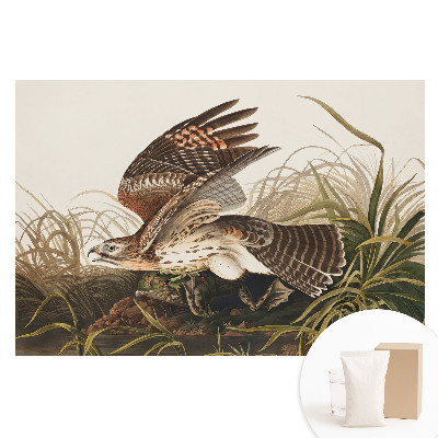 Papier peint photo imprimé sur tissu non tissé Un oiseau en vol dans l'herbe