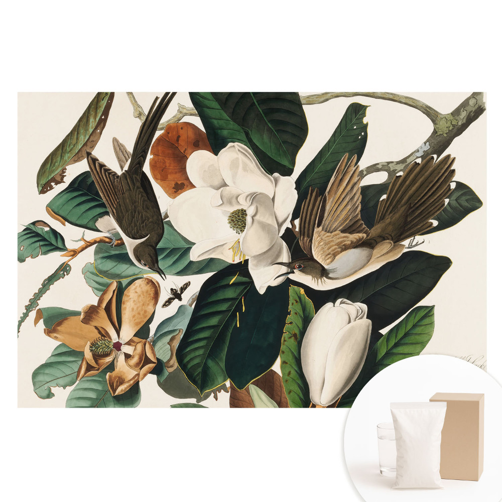 Papier peint panoramique intissé Magnolias et oiseaux en harmonie classique