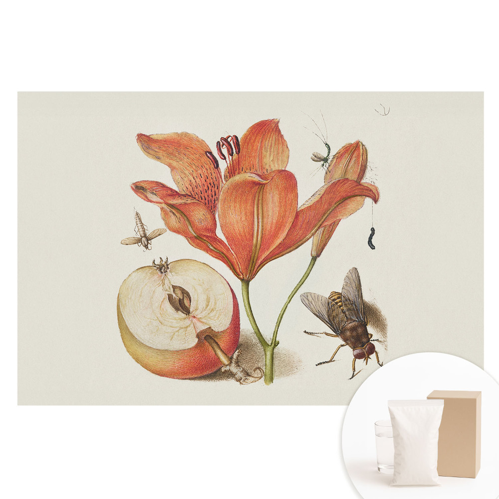 Papier peint intissé motifs fleurs, insectes et fruits