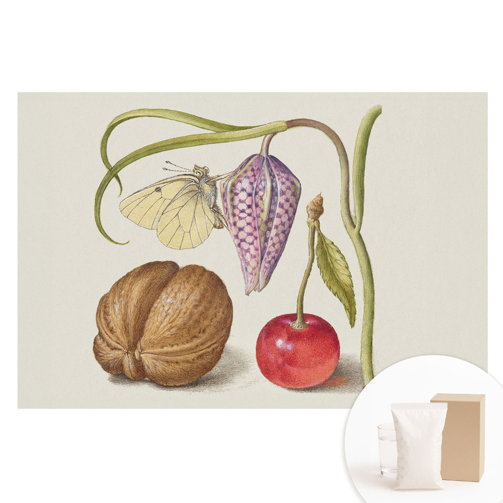 Papier peint photo grand format Papillon sur une fleur une feuille et un fruit