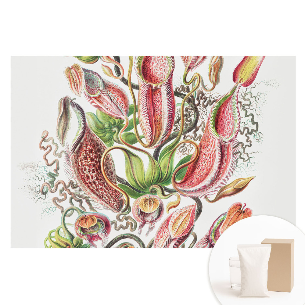 Papier peint photo sur intissé motifs de plantes insectivores exotiques