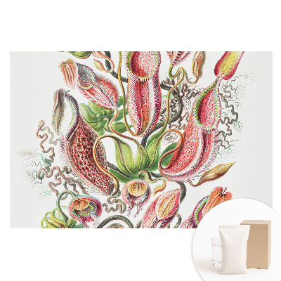 Papier peint photo sur intissé motifs de plantes insectivores exotiques