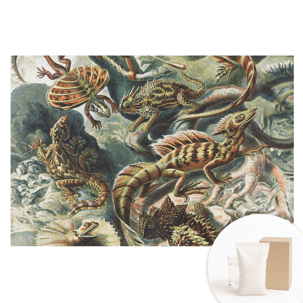 Papier peint photographique sur tissu non tissé Lézards fabuleux à motifs naturels