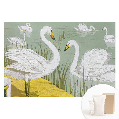 Papier peint photographique intissé Des cygnes sur le lac : Élégance romantique