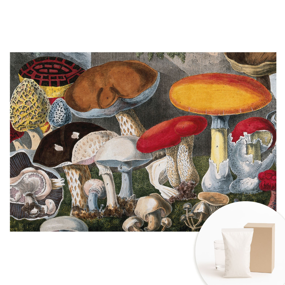 Papier peint photo imprimé sur tissu non tissé Style botanique des variétés de champignons